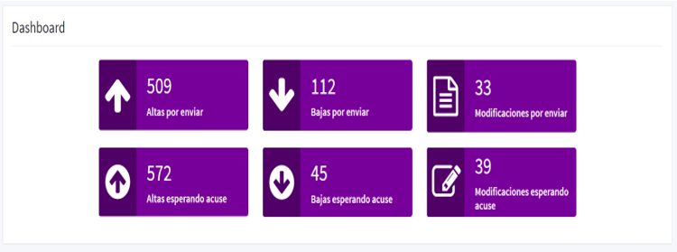 Skillforce IMSS Dashboard